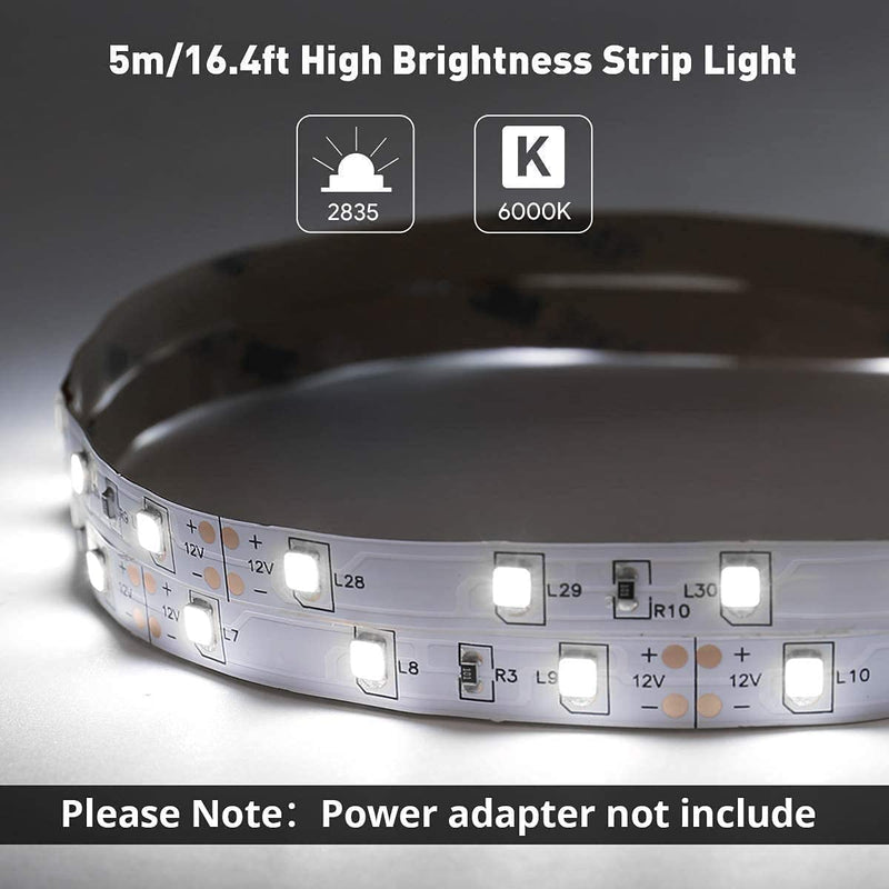 LE 12V LED Strip Light, Flexible, SMD 2835, 300 LEDs, 16.4ft Tape Light for Home, Kitchen, Party, Christmas and More, Non-Waterproof, Daylight White, Pack of 2(Not Include Power Adapter) 32.8 ft