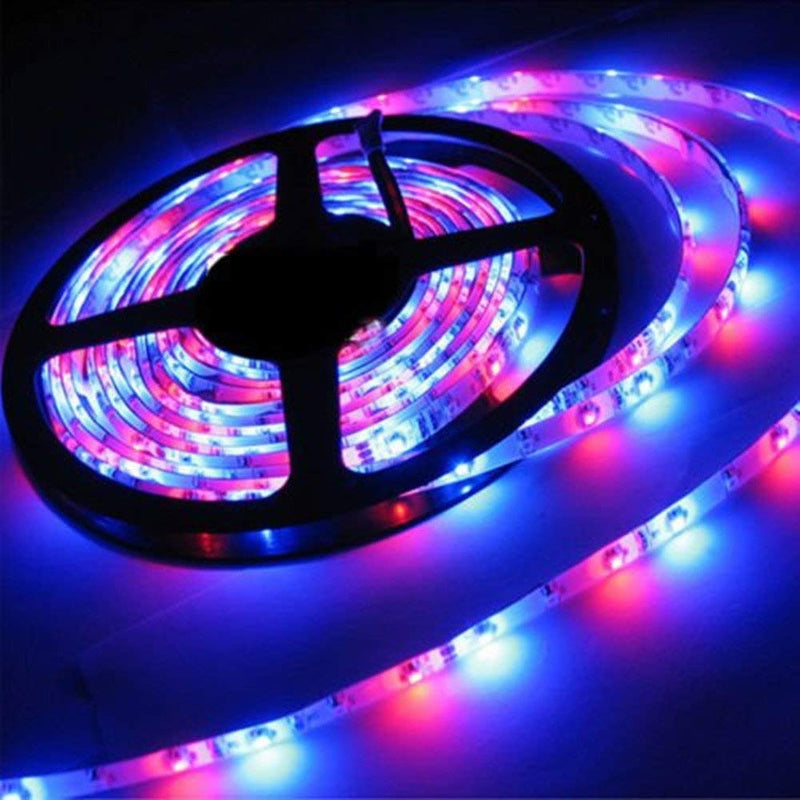 [AUSTRALIA] - LED Strip Lights, Color Changing Rope Lights, Waterproof 16.4ft 3528 RGB 300 LED Flexible Light Strip Kit with 44-Keys IR Remote Controller & Power Supply Ribbon DIY 