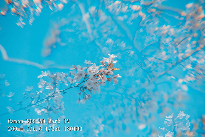 Camera Filter 77mm Fractal Special Effect Filter 4+1 Prism SLR Accessories Prism Filter 4+1 Prism77mm