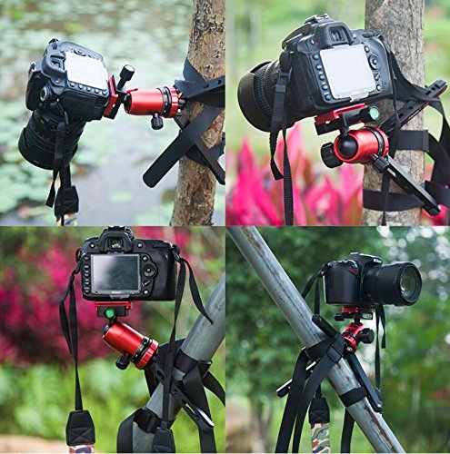 Koolehaoda Tabletop Metal Tripod with 1/4 and 3/8 Screw Mount and Function Leg Design,Max Load 66lbs,for DSLR Camera,Monopods (MT-01)