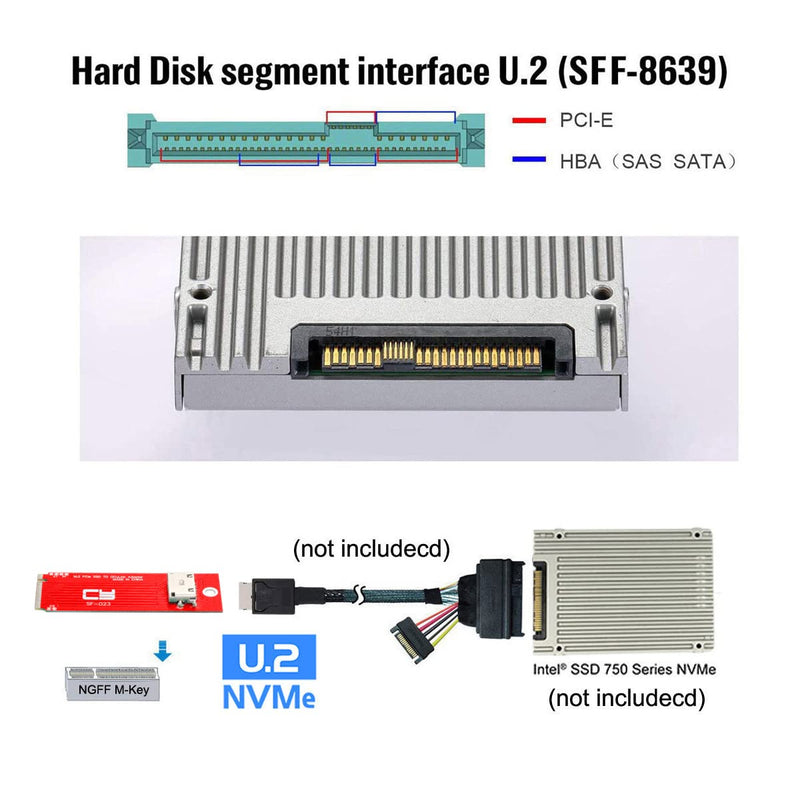 [AUSTRALIA] - CY Adapter PCI-E 4.0 M.2 M-Key to Oculink SFF-8612 SFF-8611 Host Adapter for PCIe Nvme SSD 2260 Black 8654-8482*4 NVME 2260 