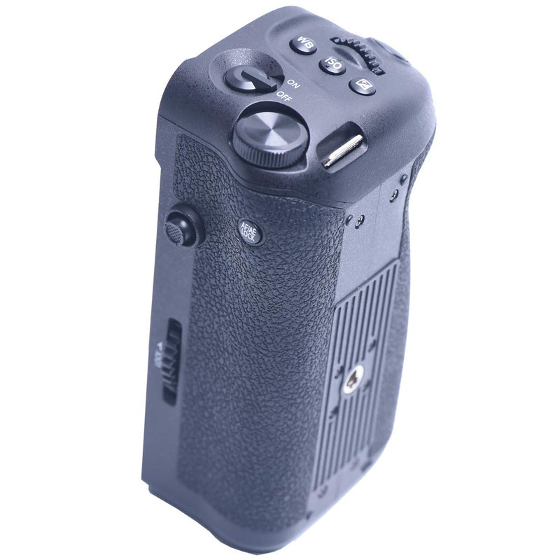 DSTE Replacement for Pro Wireless Remote Control DMW-BGG9 DMW-BGG9GK Vertical Battery Grip + 2X DMW-BLF19 Compatible Panasonic Lumix G9 Digital Camera