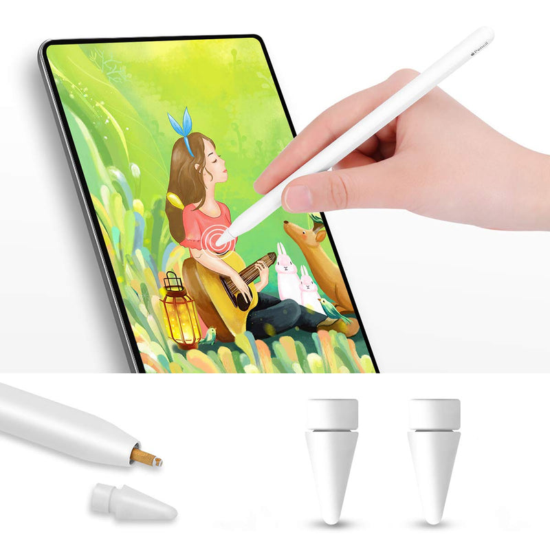 Pencil Tip Compatible with Apple Pencil Tips 1st & 2nd Generation with 2 Nibs and 2 Caps