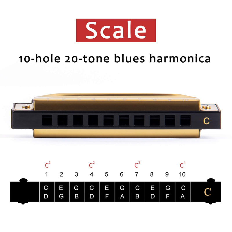 Horse Blues Harmonica 10 Hole Diatonic Harp Key of C Blues Harp 20 Tones for Adult and Kid Beginners gold