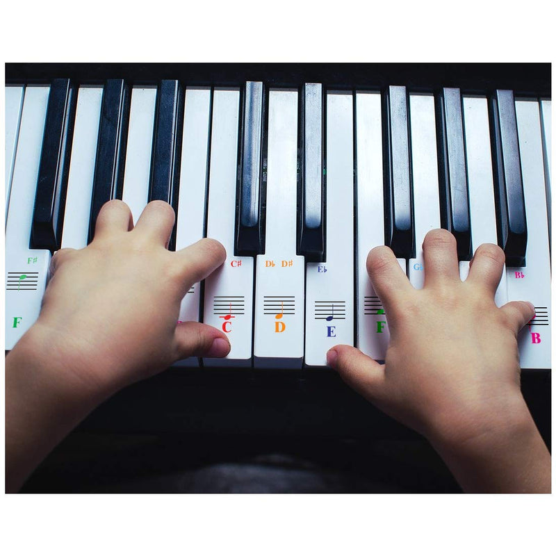 Piano Keyboard Note Stickers for White Keys for Upto 88-Key Keyboards. Bright Colorful Letters, Transparent and Removable, Perfect Visual Tool for Kids and Beginners, Made in USA - 2 Pack