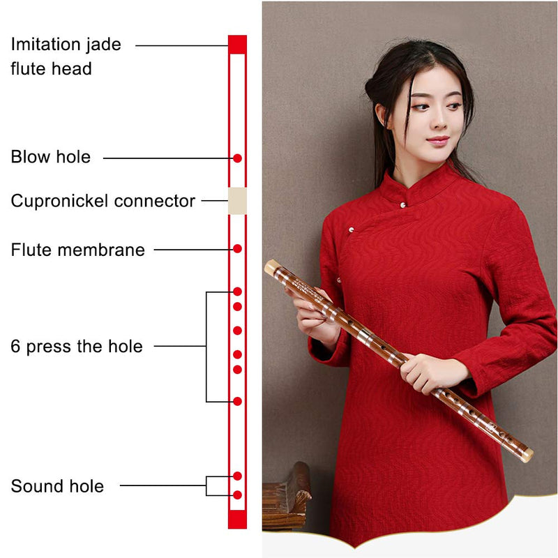 Tyuodna Pluggable F key Bitter Bamboo Flute Dizi, Chinese Traditional Handmade Musical Woodwind Instrument Key of F, with Free Membrane & Glue & Protector Set (Brown) Brown