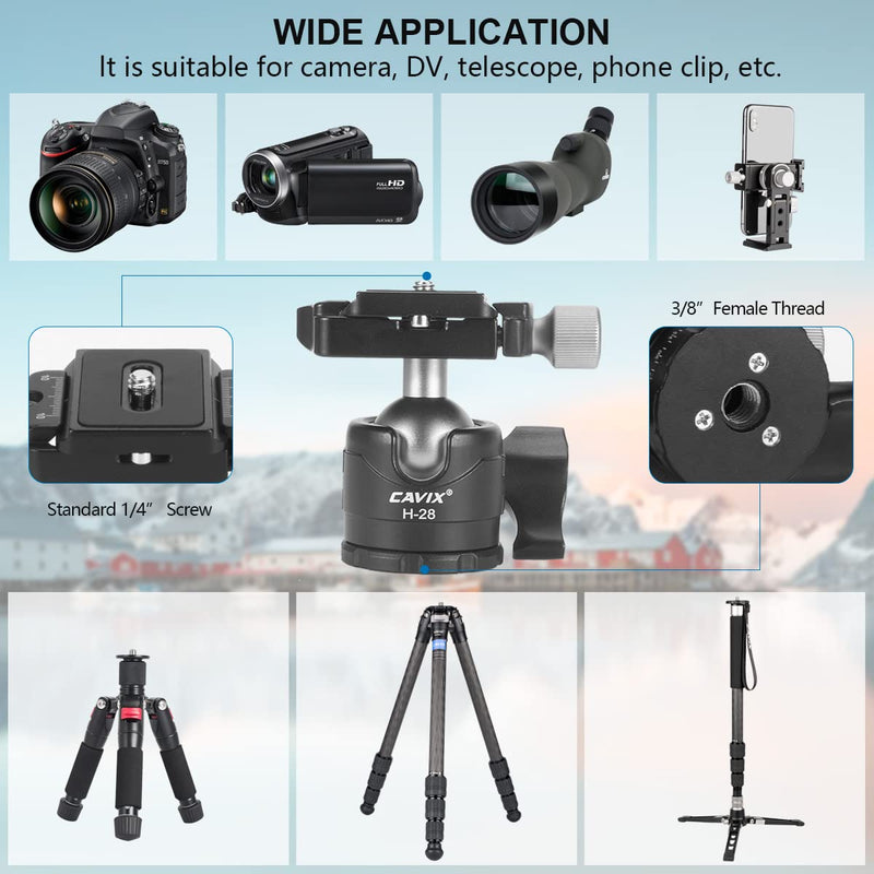 CAVIX 28mm Ball Head Low Profile Tripod Head 360° Panoramic Metal Ballhead w 1/4" Arca Swiss QR Plate &3/8" Thread Mount for DSLR Cameras Tripod Monopod Camcorder Slider Max Load 22lbs/10kg H-28 28