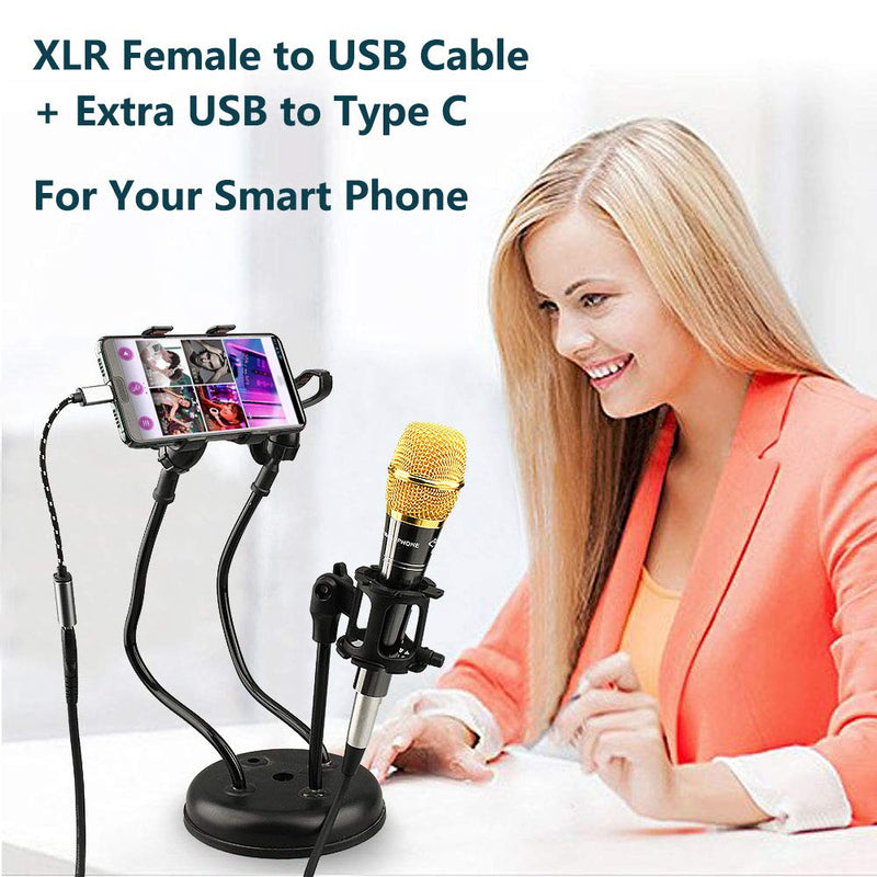 [AUSTRALIA] - EBXYA Microphone XLR to USB PC Cable 3 Ft - Premium 3 Pins XLR Female to USB A Cable for Audio Recording or Karaoke Live Broadcast 3 Feet Microphone USB Cable 