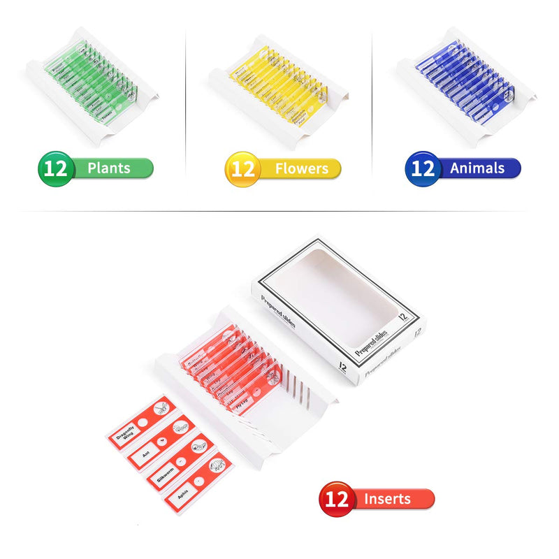 Plastic Prepared Microscope Slides for Kids, Cainda 48pcs Animals Insects Plants Flowers Sample Microscope Slides with Specimens for Students Adult Biology Science Programs