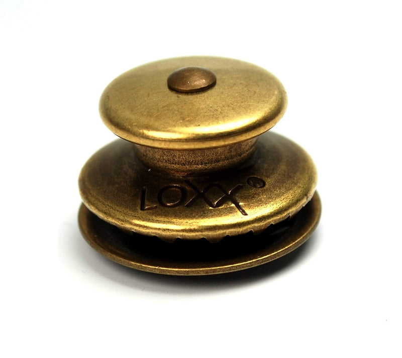 Loxx EG/B Instrument Strap Lock - Antique Brass