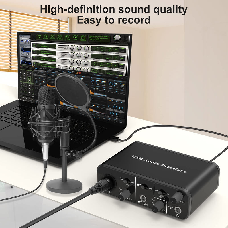 USB Audio Interface for Recording Music, XLR interface with 48V Phantom Power, TRS balanced with Headphone Amplifier, AudioBox Mic Preamps 48v 2 Channel for PC/Win/Mac Streaming and Podcasting