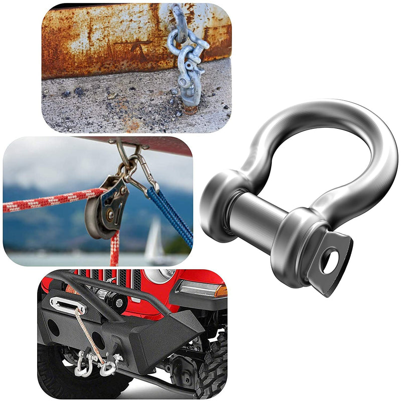 2 Pcs 3/8 Inch 304 Stainless Steel D Ring Shackles 10 mm Screw Pin Anchor Shackle for Traction Steel Wire, 10 mm