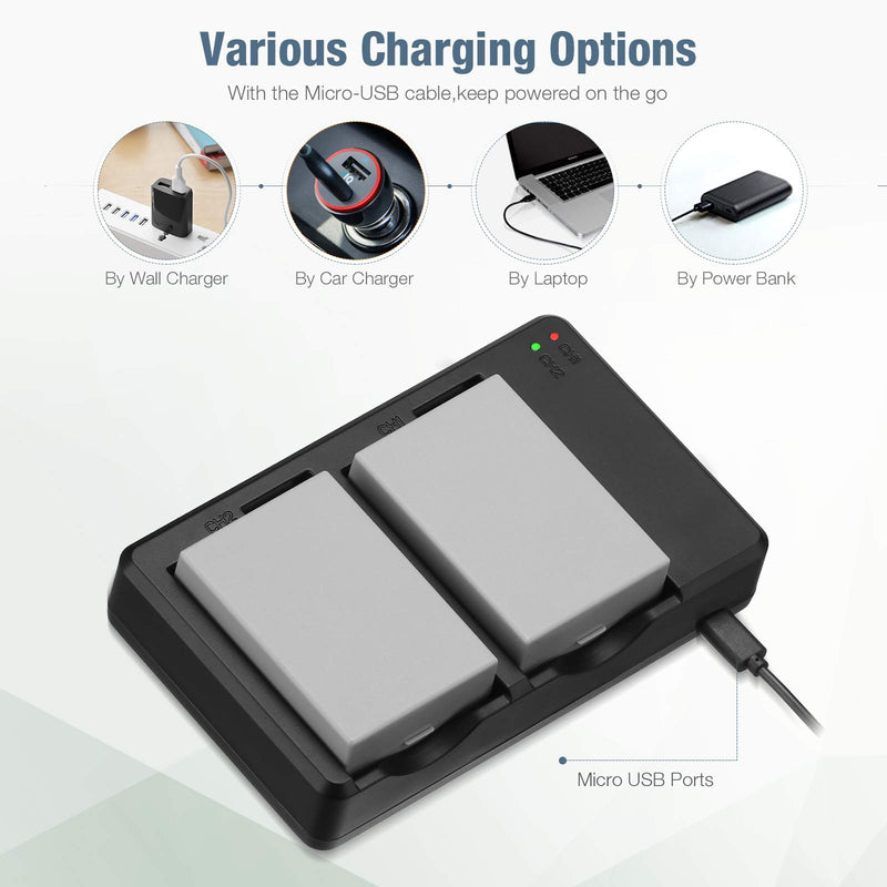 LP-E8 Battery 1800mAh Li-ion Replacement Batteries 2 Packs and Dual Rapid Charger for Canon Rebel T3i, T2i, T4i, T5i, EOS 600D, 550D, 650D, 700D, Kiss X5, X4, Kiss X6 Digital Camera