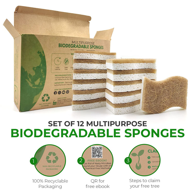 AIRNEX Biodegradable Natural Kitchen Sponge - Compostable Cellulose and Coconut Walnut Scrubber Sponge - Pack of 12 Eco Friendly Sponges for Dishes
