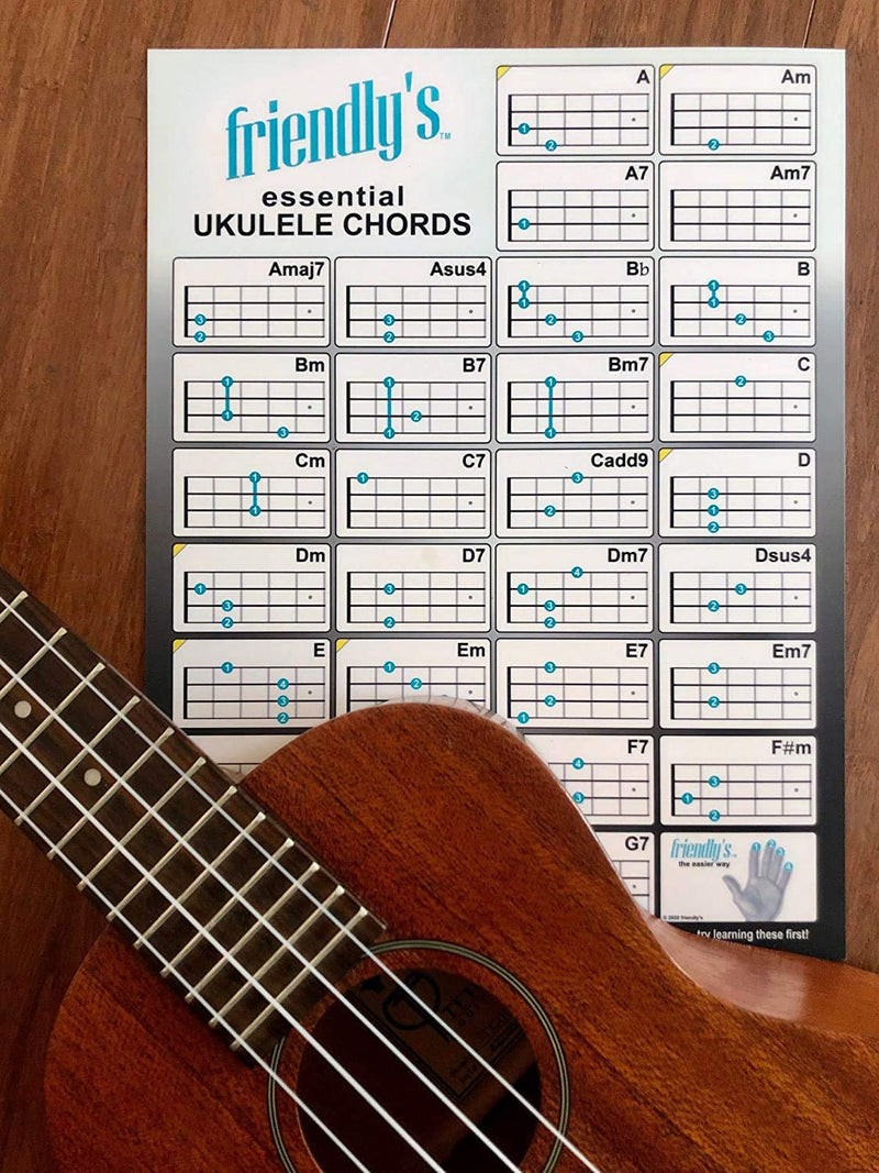 Friendly’s Ukulele Case ~ Protect Your Uke! BLACK Durable Water Repellent Nylon w/Foam Padding. Interior Accessory Storage. FREE Ukulele Chord Chart Included. For 21”-23” Concert/Soprano Ukuleles