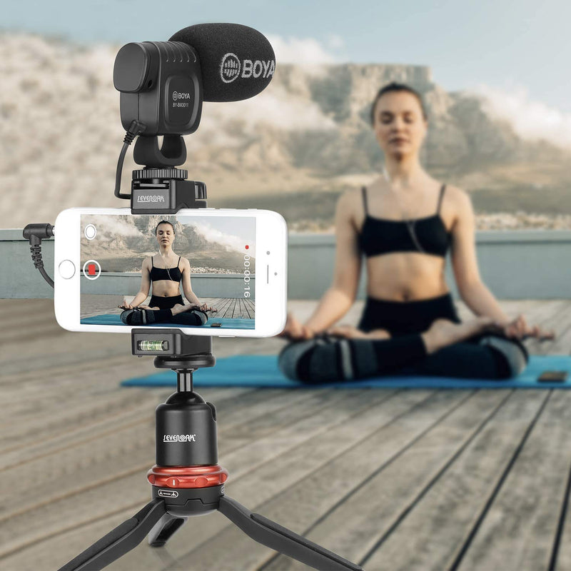 BOYA BY-BM3011 Cardioid Camera-Mount Professional Condenser Shotgun Microphone Broadcast Video Interview Capacitive Mic Compatible with iPhone Android Smartphone Canon Nikon DSLR Camera Camcorder