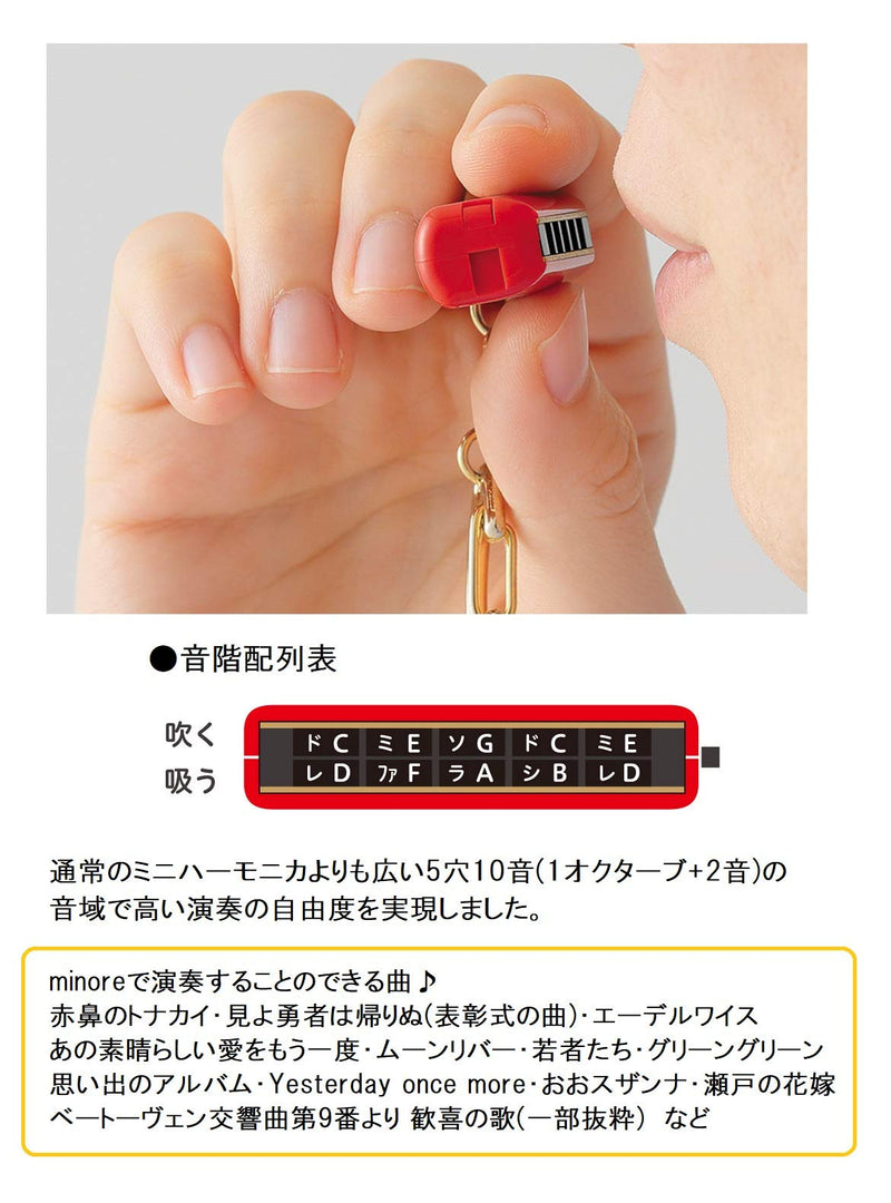 Suzuki 5 hole harmonica key ring Red
