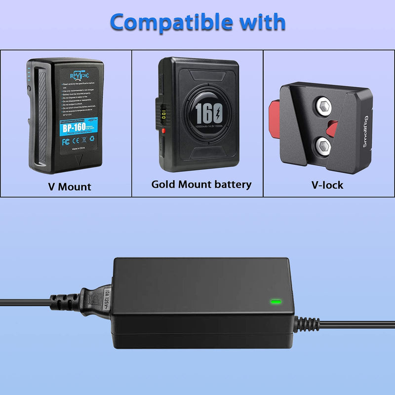 D Type Quick Charger with D Tap Cable for V-Mount/V Lock/Gold Mount Battery, for Sony BP-U65 BP-U68 HDW-800P HDW-F900R PDW-680 PDW-850 DSR-650P PMW-F55 Camcorders, DC 16.8V 3A.