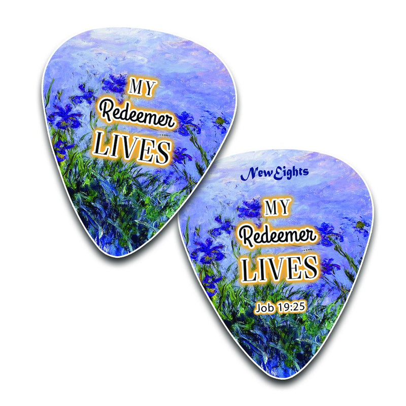 Christian Guitar Picks for Gospel Music - In Christ Alone (12-Pack) - Medium Celluloid - Best Inspirational Music Gifts for Church Worship Team, Pastor, Youth Group, Dad, Mom, Boys, Girls