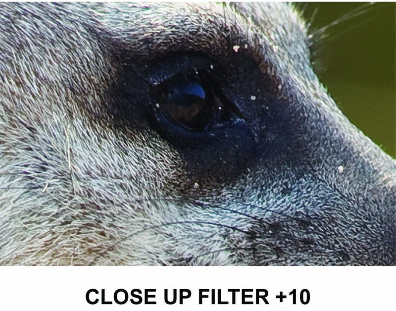 AGFA 4-Piece Close-Up Macro Multi Coated Filter Kit 72mm (+1+2+4+10) APCUF472 Multi Coated 72mm