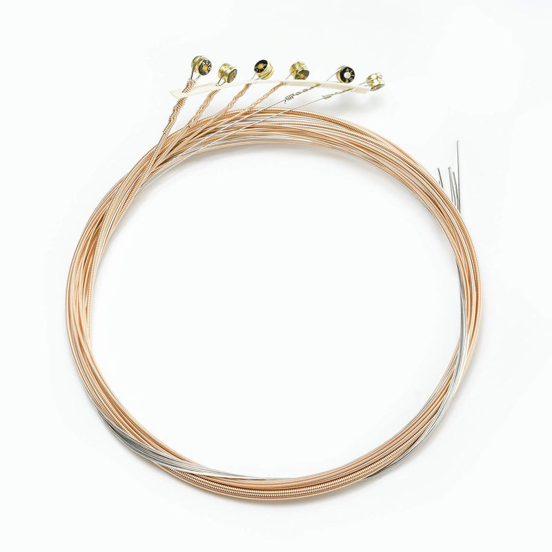 Alice Acoustic Guitar Strings .012-.053 Light Tension Phosphor Bronze Winding with Gold-Plated Ball-End, 2 Sets