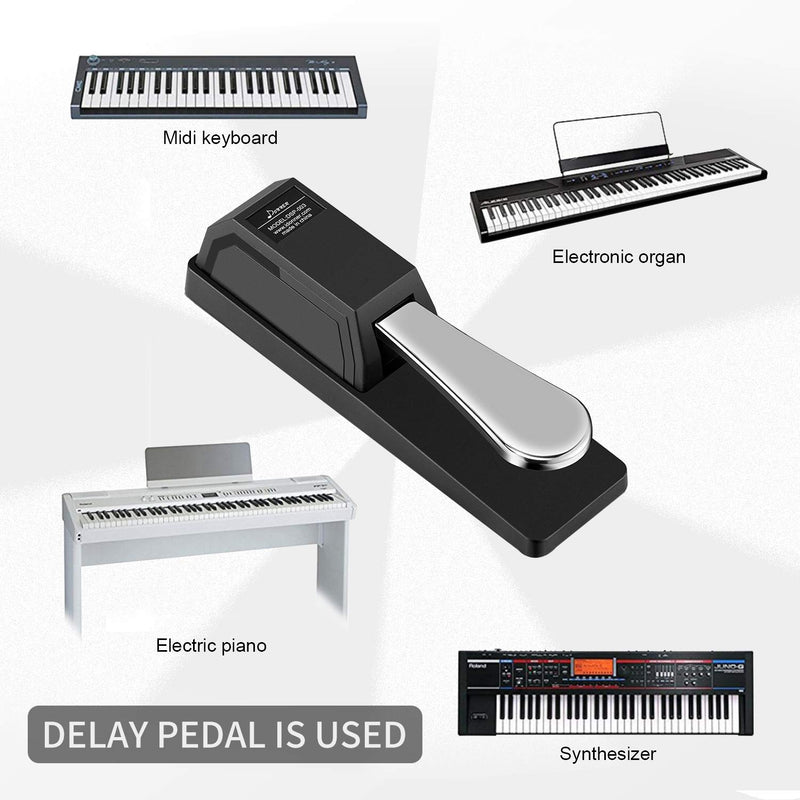 Donner DSP-003 Universal Sustain Pedal with Polarity Switch for MIDI Keyboards, Digital Pianos, Synth (1/4 Inch Jack)