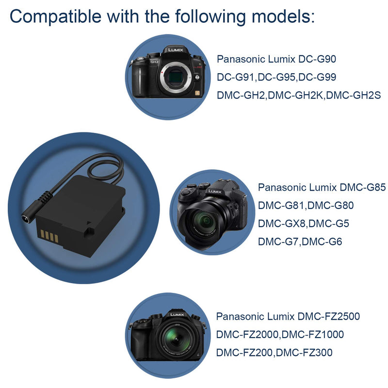 F1TP DMW-DCC8 USB-C Power Adapter DC Coupler Set, External Battery Adapter for DMW-BLC12 Battery, Panasonic Lumix FZ200 FZ300 FZ1000 FZ2000 FZ2500 GH2 G5 G6 G7 GX8 G85 G99 Digital Cameras