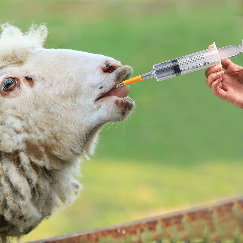 Tondiamo 4 Set Lamb and Goat Kid Feeding Kit 60 Ml Plastic Goat Syringe Feeding Tube Syringes Supplies 12.6 Inch Clear Tube Feeding Replacement Parts for Small and Weak Lamb Feeding