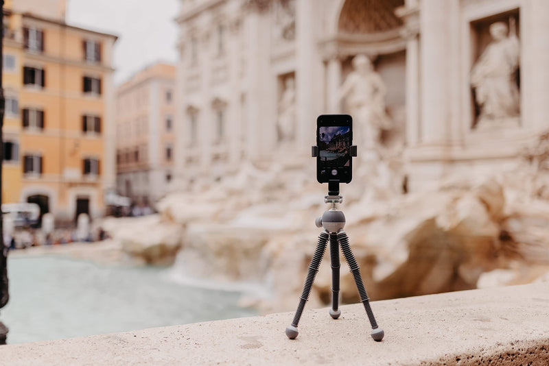 JOBY PodZilla Large Flexible Tripod with Ball Head Included, for Compact Mirrorless Cameras or Devices up to 2.5kg, Gray, JB01661-BWW