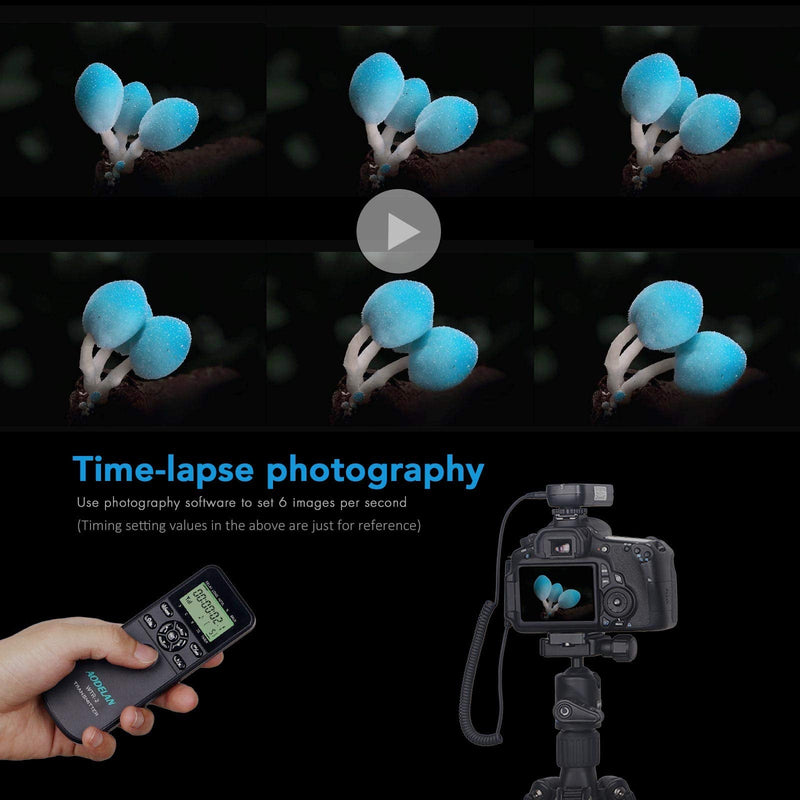 HAOXI AODELAN Camera Wireless Shutter Release Timer Remote Control for Canon EOS R, ROS RP, EOS RA, R6, R5, 80D, 77D, 70D, 250D, 90D, 10D, T7, T6i, T6s, T5i, T4i, T3i, PowerShot SX70H, RS-60 & TC-80N
