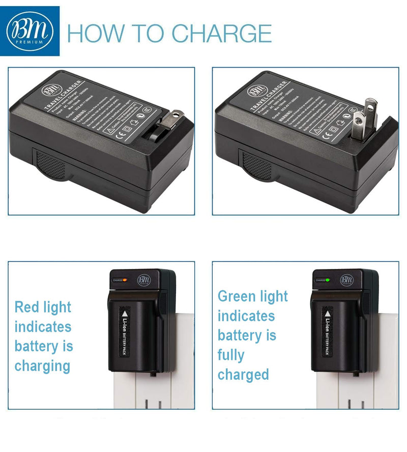 Pack Of 2 NP-FV70 Batteries & Battery Charger Kit for Sony HDR-CX190 HDR-CX200 HDR-CX210 HDR-CX220 HDR-CX230 HDR-CX260V HDR-CX290 HDR-CX380 HDR-CX430V HDR-CX580V HDR-CX760V HDR-PJ230 HDR-PJ380 HDR-PJ430V HDR-PJ580V HDR-PJ650V HDR-PJ710V HDR-PJ760V HDR-...