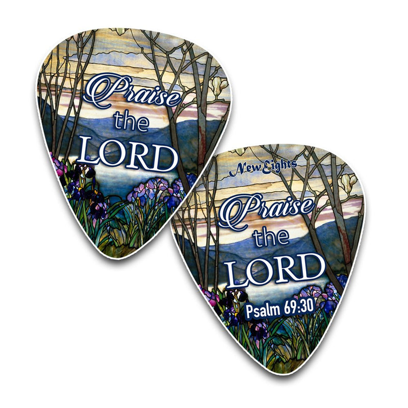 Christian Guitar Picks for Gospel Music - In Christ Alone (12-Pack) - Medium Celluloid - Best Inspirational Music Gifts for Church Worship Team, Pastor, Youth Group, Dad, Mom, Boys, Girls