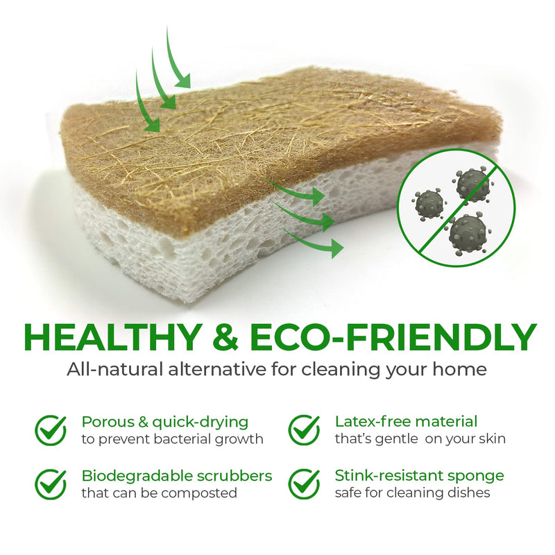 [AUSTRALIA] - Biodegradable Natural Kitchen Sponge - Compostable Cellulose and Coconut Walnut Scrubber Sponge - Pack of 12 Eco Friendly Sponges for Dishes 