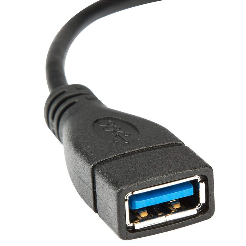 20 cm USB 3.0 Mobile Data Cable with 9-Pin Plug USB Type A Connector by Master Cables