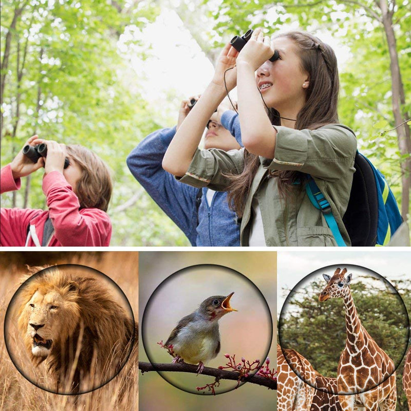 BRIGENIUS 8x21 Small Binoculars, Compact Binoculars for Adults Kids Bird Watching, Mini Pocket Lightweight Binoculars for Opera Concert Theater 8X21 mini