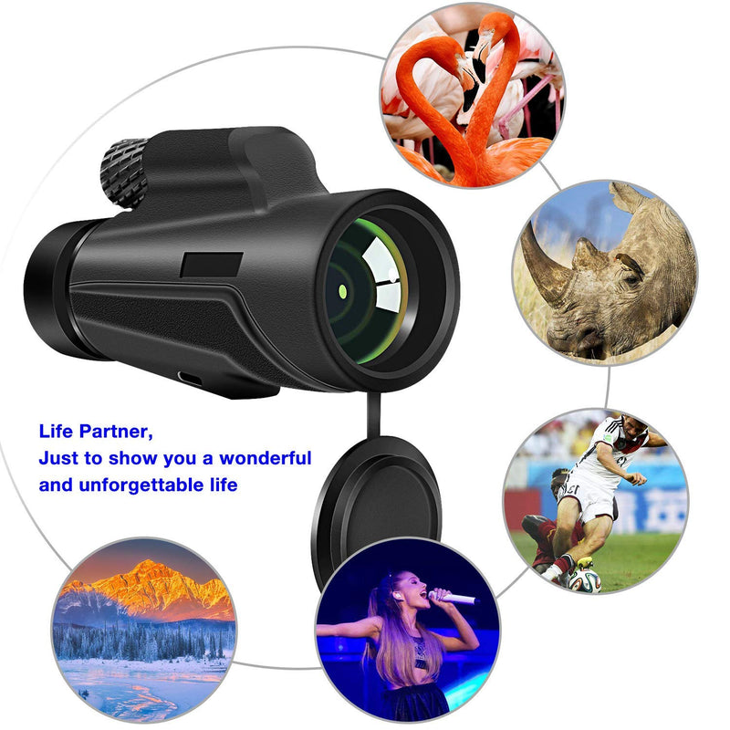 Monocular Telescope,12x50 High Defination Monocular with Smartphone Holder & Tripod for Adults Kids Scope Bird Watching Hunting Camping Hiking Travel Scenery