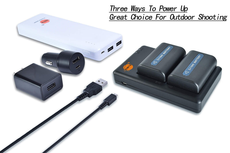 DSTE 2 Pack NP-FM50 Battery + Rapid Dual USB Charger Compatible for Sony CCD-FRV DCR-PC DCR-TRV DCR-DVD DSR-PDX GV HVL Series Camera as NP-FM30 NP-FM51 QM50 QM51 FM55H