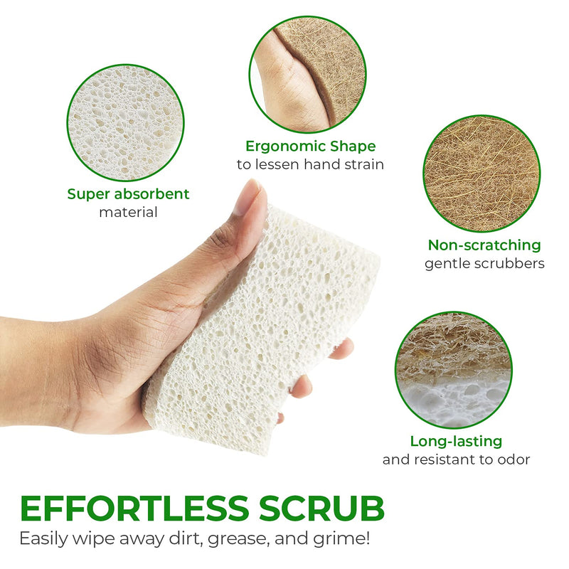AIRNEX Biodegradable Natural Kitchen Sponge - Compostable Cellulose and Coconut Walnut Scrubber Sponge - Pack of 12 Eco Friendly Sponges for Dishes