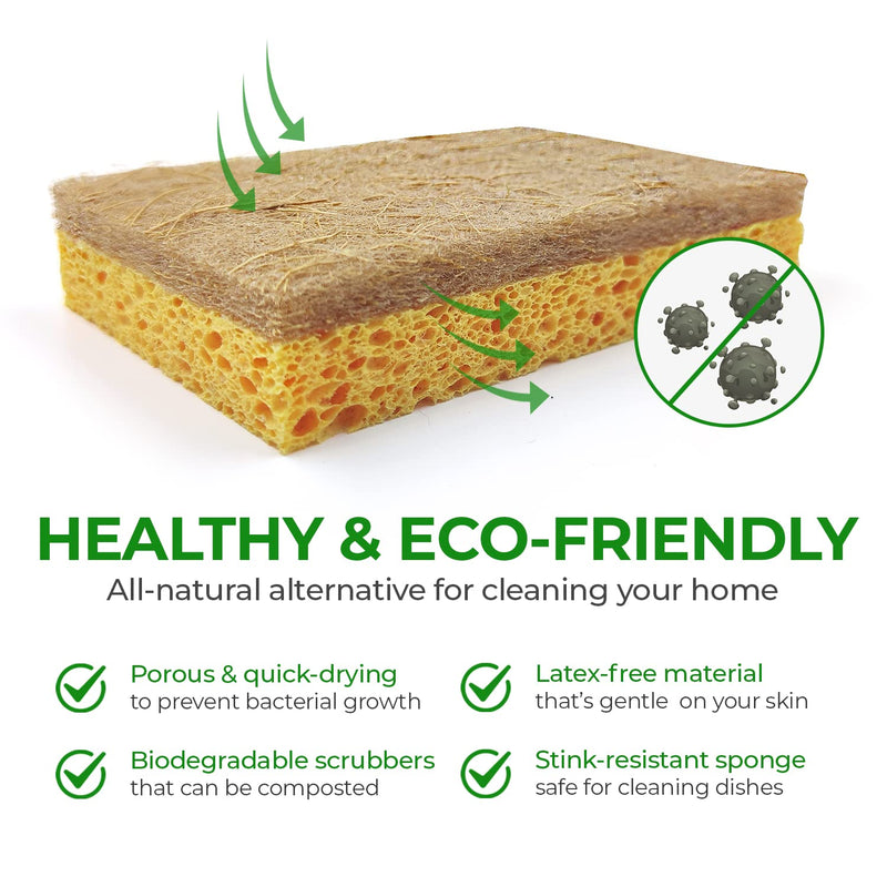 AIRNEX 18 Pack Biodegradable Natural Kitchen Sponge - Compostable Cellulose and Coconut Walnut Scrubber Sponge - Eco Friendly Sponges for Dishes