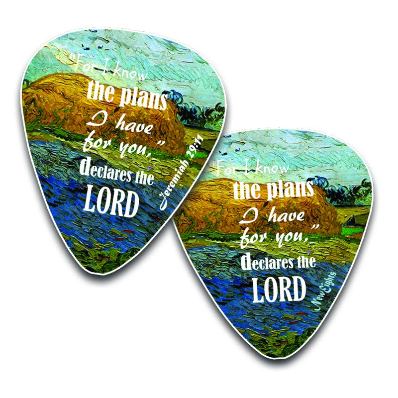 Christian Guitar Picks (12 pack)- Be Strong - Jeremiah 29:11 - Celluloid Medium - Best Stocking Stuffers for Dad Men Thanksgiving Christmas Birthday - Worship The Lord Excitedly