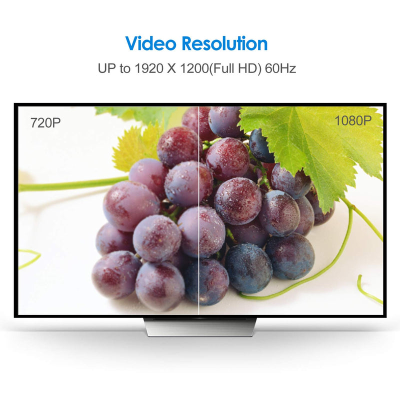 Rankie Mini DP to DVI, Gold 1080P Plated Mini DisplayPort (Thunderbolt Port Compatible) to DVI Male to Female Adapter Converter (Black) Black