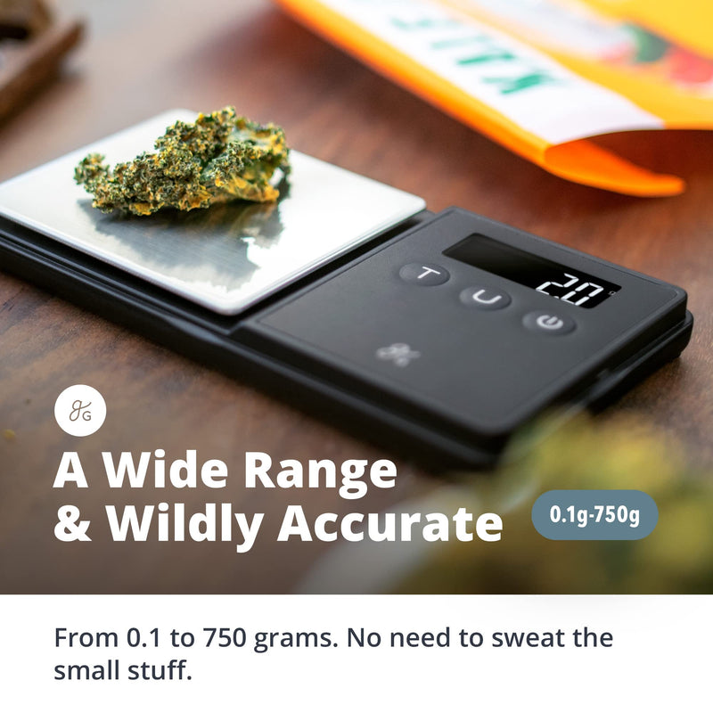 Greater Goods Digital Pocket Scale - 750 x 0.1 Gram Resolution | Lab Analytical Scale, Gram Scale, Espresso Scale, Letter Scales 750g x 0.1g