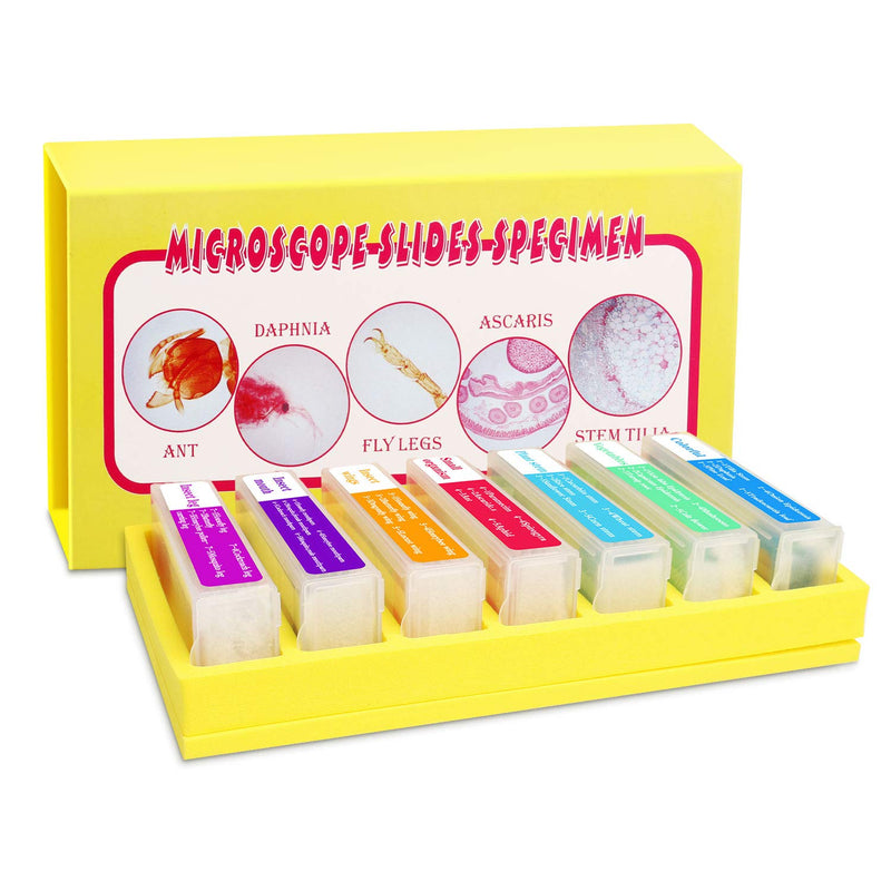 Bysameyee 35PCS Prepared Microscope Slides with 7 Types Specimens, Insect/Plant Glass Sample Slide for Kids Adults Family Preschool Education Scientific Enlightenment
