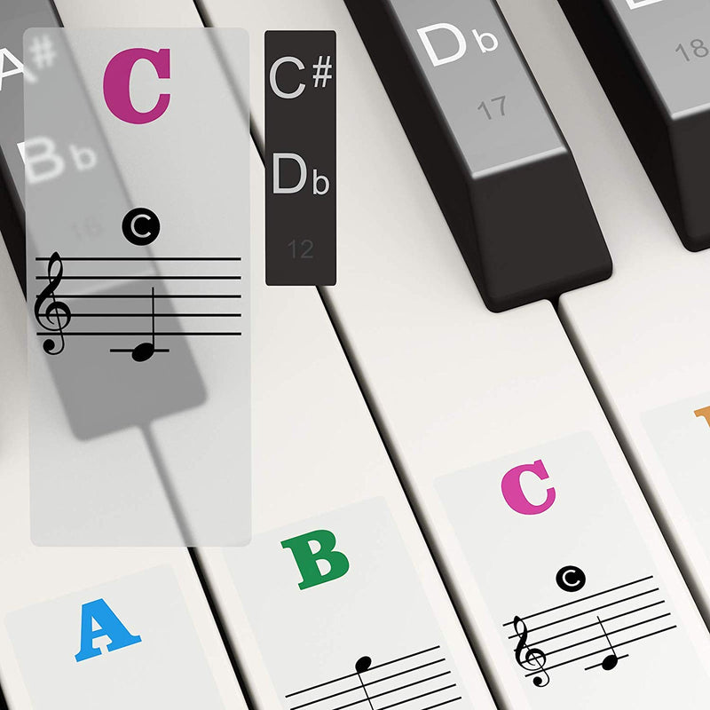 Eau Colorful 37/49/54/61/88 keys of Piano Stickers perfect for Beginners and Kids, Piano Keyboard Stickers for Learning and Practicing.