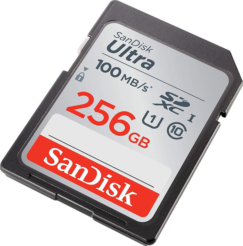 SanDisk SDXC Ultra 256GB Memory Card for Camera Panasonic Lumix Works with DC-G100, DC-G110, G7, GX85, GX80, GX7 Mark II (SDSDUNR-256G-GN6IN) Bundle with (1) Everything But Stromboli SD Card Reader Class 10 256GB