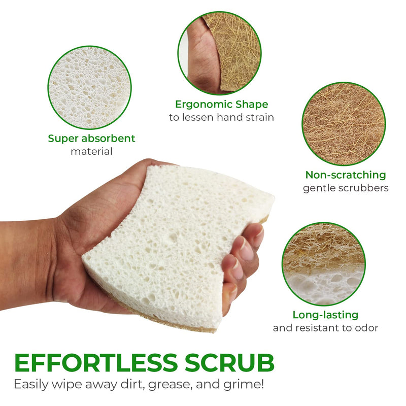 [AUSTRALIA] - Biodegradable Natural Kitchen Sponge - Compostable Cellulose and Coconut Walnut Scrubber Sponge - Pack of 12 Eco Friendly Sponges for Dishes 