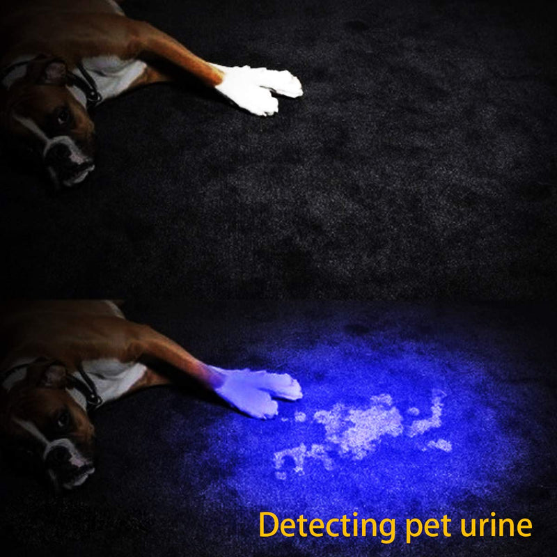 Waklyte Black Light, Mini UV Flashlight, 21 LED 395 nm Ultraviolet Blacklight Detector for Dog Urine, Pet Stains and Bed Bug (Battery Included)