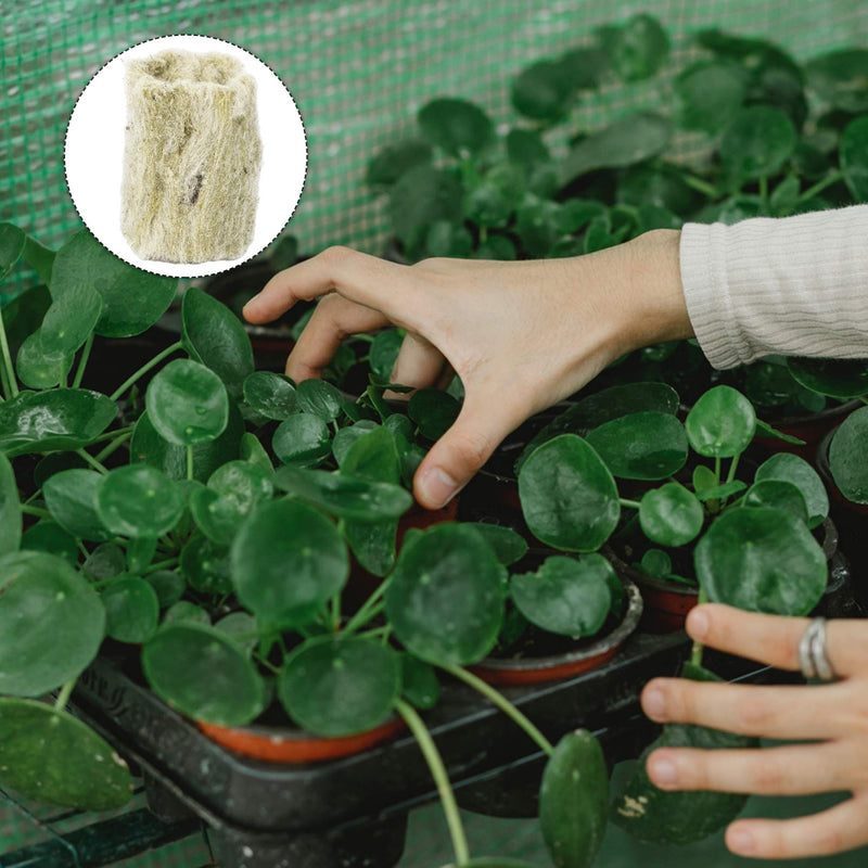 Cabilock 20pcs Rockwool Plant Plugs Garden Hydroponic Seedling Grow Cube Plugs Planting Cultivation Starter Plugs 2x3cm
