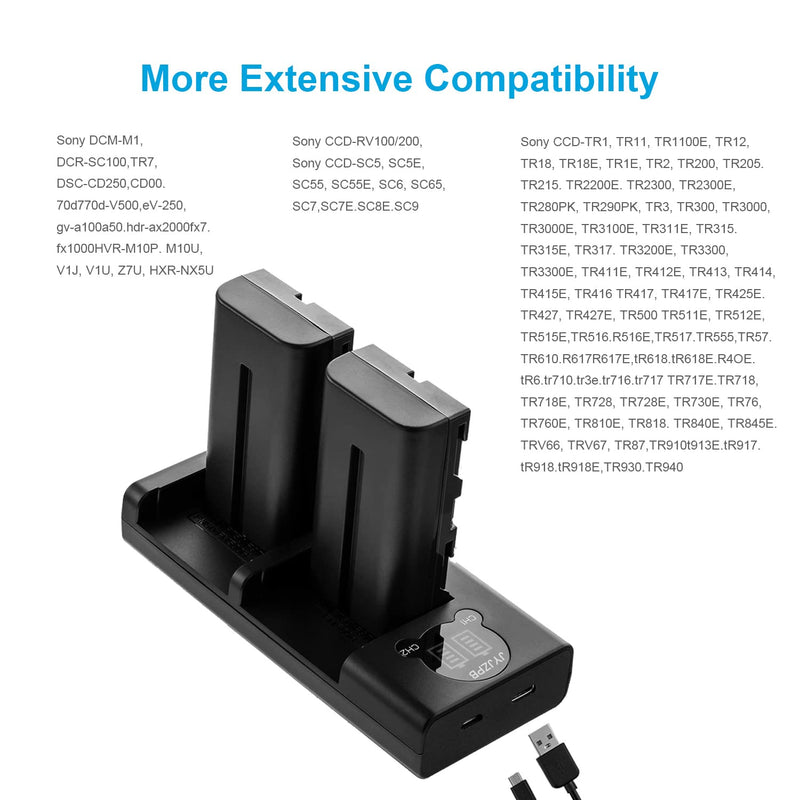 JYJZPB 2 Pack NP-F550 Replacement Batteries and Dual Charger for Sony NP F970 F750 F770 F960 F550 F530 F570 CCD-SC55 TR516 TR716 TR818 TR910 TR917 Video Light and More(2900mAh)