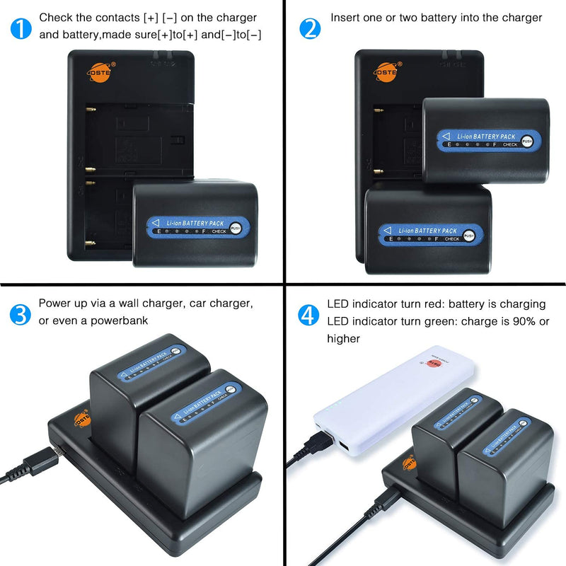 DSTE Replacement for 2X NP-QM91D Battery + Rapid Dual Battery Charger with Micro USB Cable Compatible Sony CCD-TRV328 338 DCR-DVD300 301 DCR-HC14 DCR-PC105 330E as NP-FM50 NP-QM71 NP-FM70 NP-FM90